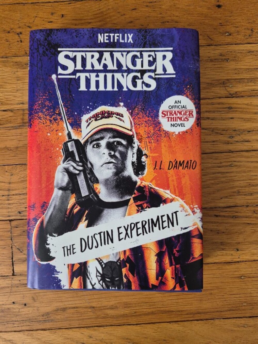 Stranger Things-The Dustin Experiment